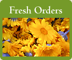 Fresh Orders