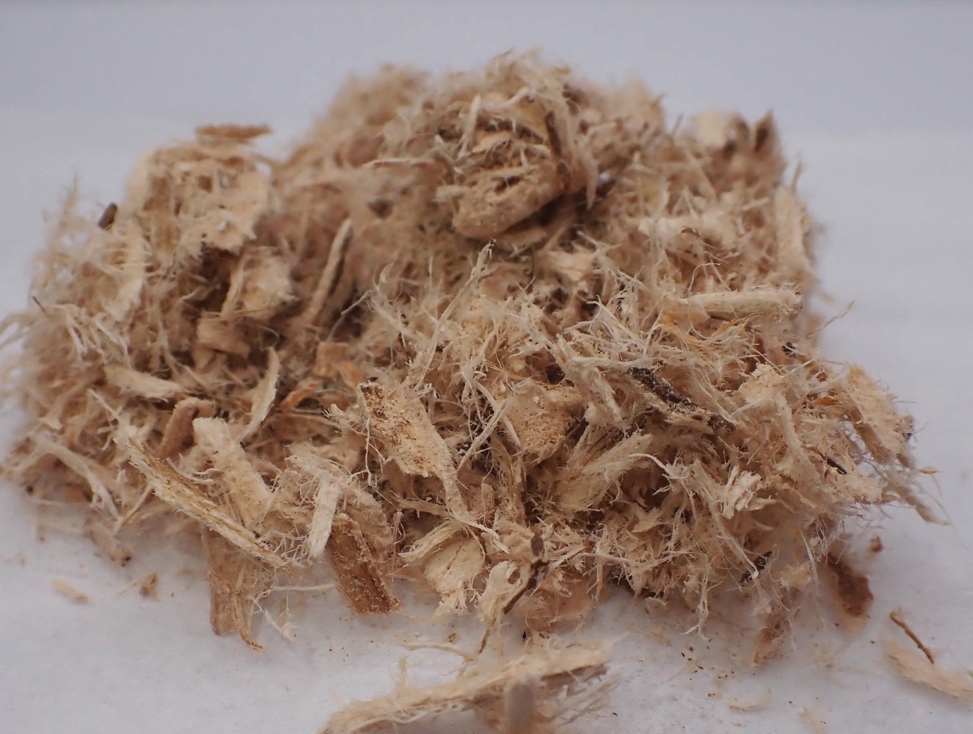 Slippery Elm - Wildcrafted Dried Shredded Bark
